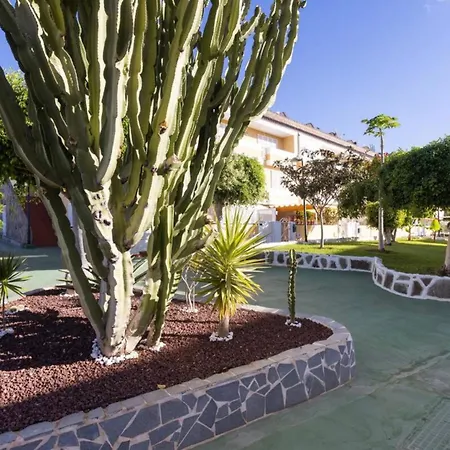 Arona Camison Playa de las Americas (Tenerife)