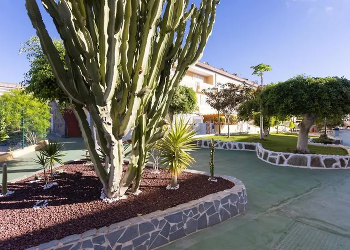 Arona Camison Playa de las Américas